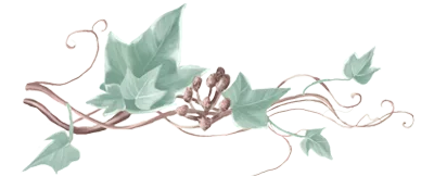 Petite branche de lierre décorative utilisée pour embellir le site Les Secrets de Brocéliande, renforçant l'atmosphère féerique et naturelle.