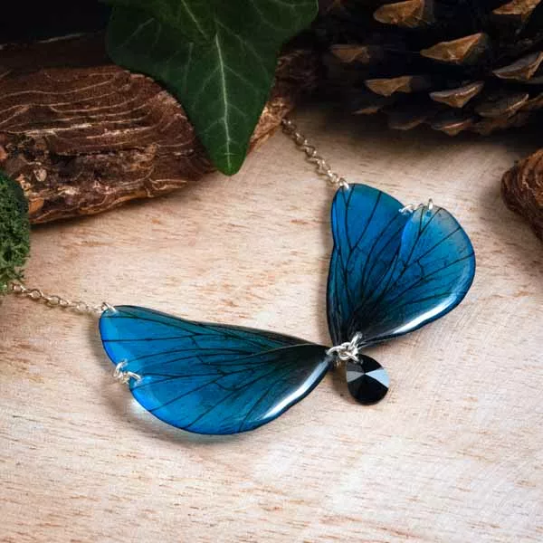 Collier phospho bleu - Vue de jour