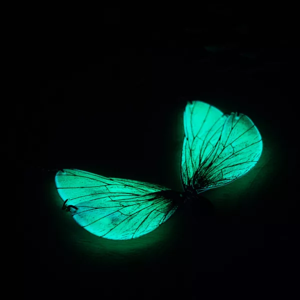 Collier phospho bleu - Vue de nuit
