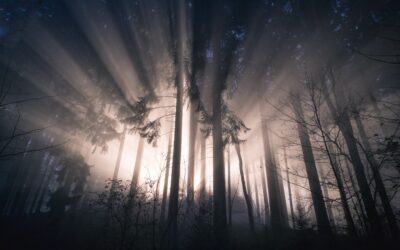 La naissance de Merlin : l’enfant des ombres et de la lumière