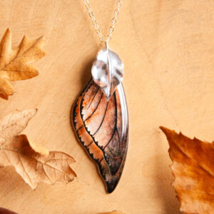 Sautoir Équinoxe fabriqué avec les ailes de la fée Sylmeria, présenté dans un décor automnal