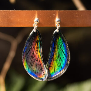 boucles d’oreilles ailes de fée holographiques Aerin clous