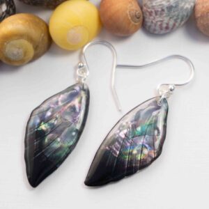 Boucles Cléophée sombres à nacre bleutée, avec effet gouttelettes d’eau, posées sur fond blanc parmi des coquillages.