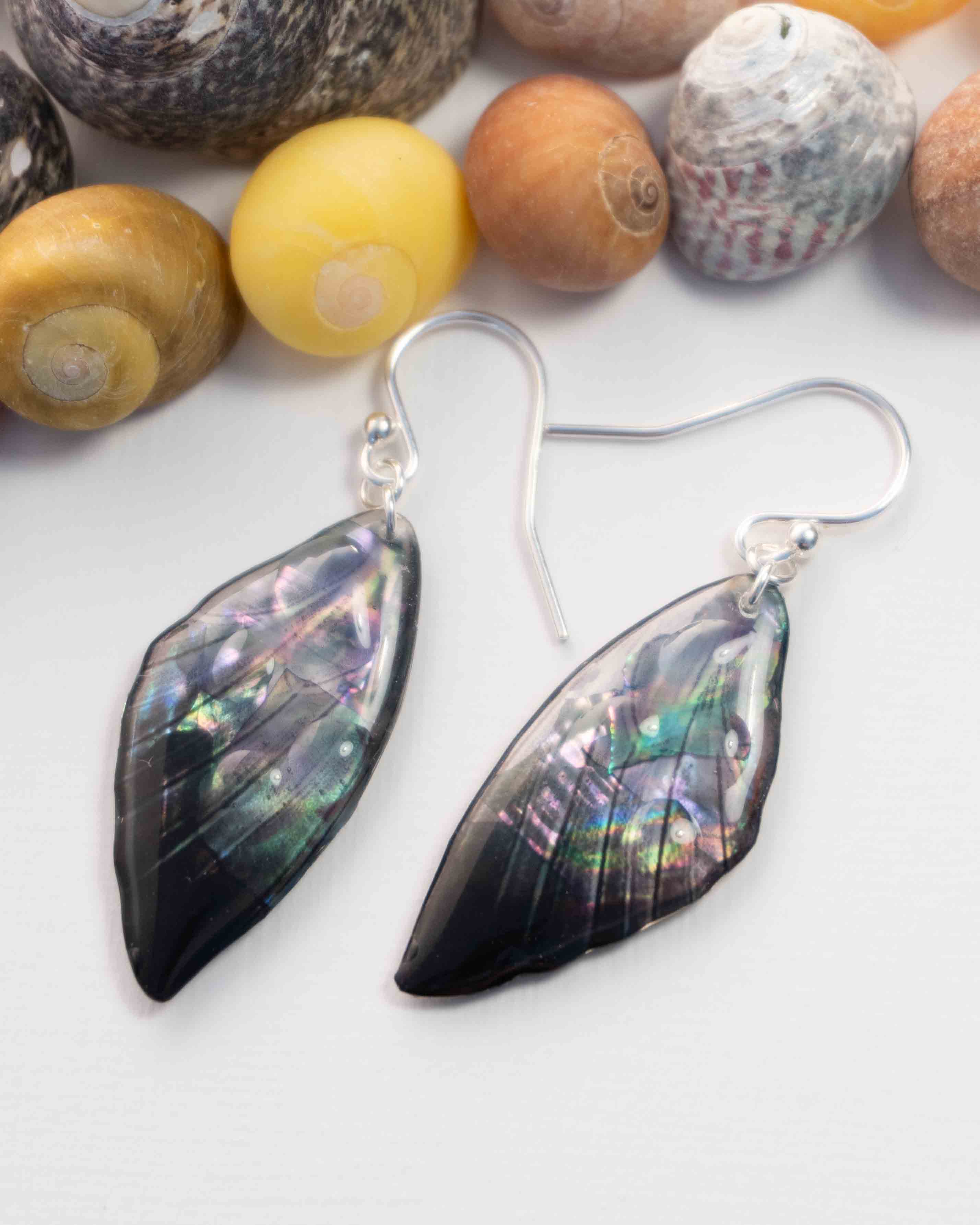 32 Boucles Cléophée sombres à nacre bleutée, avec effet gouttelettes d’eau, posées sur fond blanc parmi des coquillages.